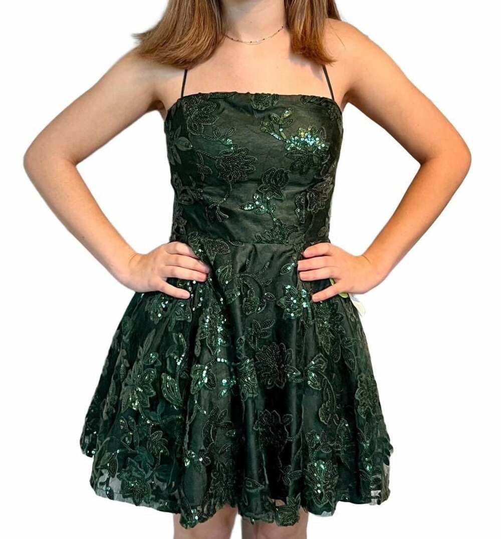 Windsor Green Floral Embroidered Sequin Fit & Flare Mini Dress Size S